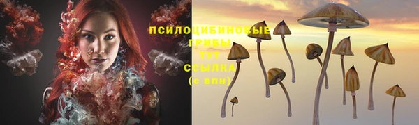 a pvp Карпинск