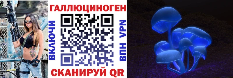 Купить  Касли  Псилоцибиновые грибы прущие грибы 